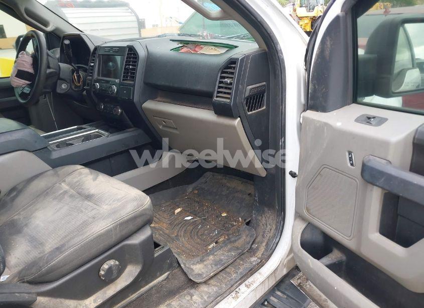 Photo 5 of 2019 Ford F-150 XL (VIN 1FTEW1CP3KKD55769)