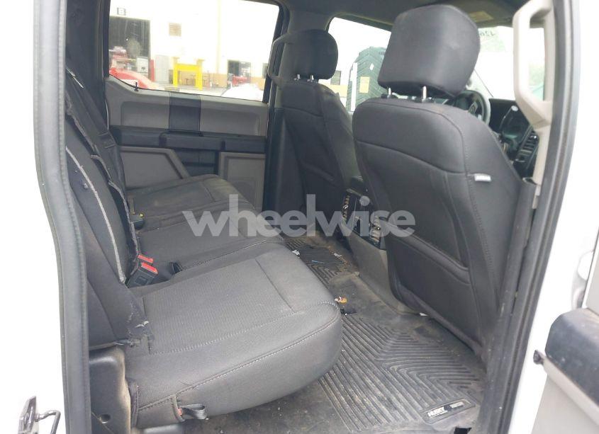 Photo 8 of 2019 Ford F-150 XL (VIN 1FTEW1CP3KKD55769)