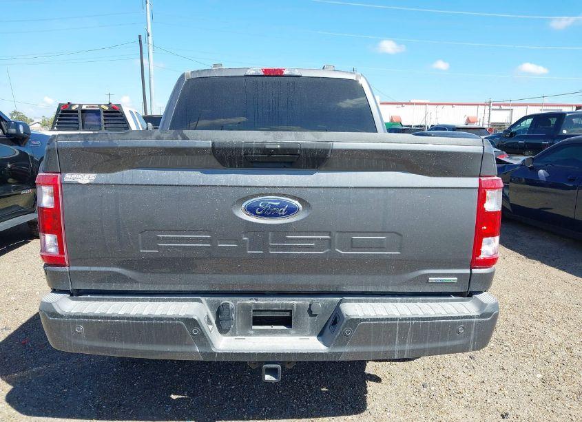 Photo 17 of 2023 Ford F-150 XL (VIN 1FTEW1CP3PKG12016)