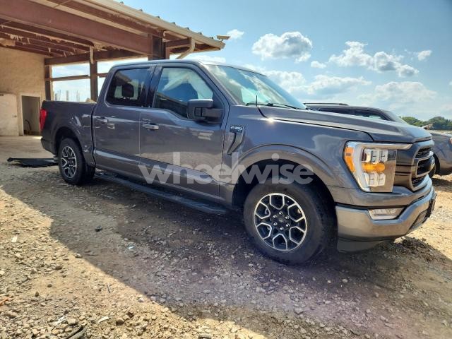 Photo 11 of 2021 FORD F150 SUPERCREW (VIN 1FTEW1CP4MKD44153)