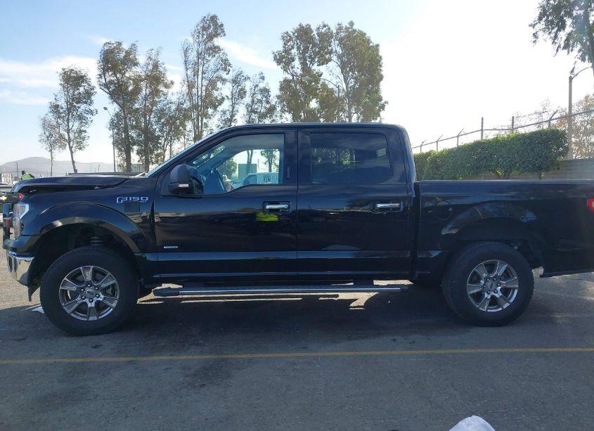 Photo 14 of 2017 Ford F-150 XLT (VIN 1FTEW1CP5HKD19073)