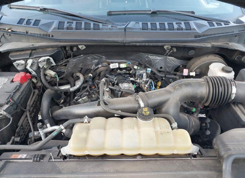 Photo 10 of 2019 Ford F-150 XLT (VIN 1FTEW1CP5KFD25620)