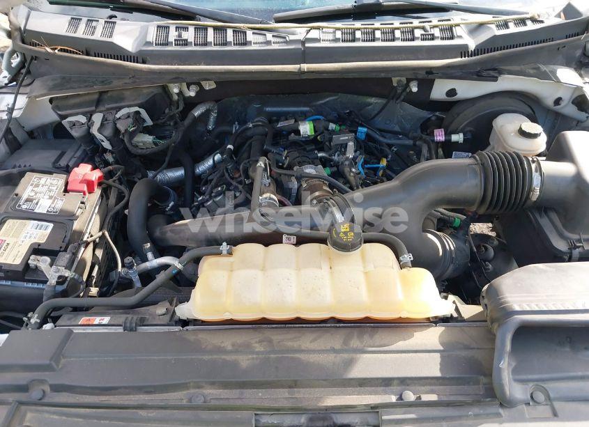 Photo 10 of 2019 Ford F-150 XL (VIN 1FTEW1CP5KKC01743)