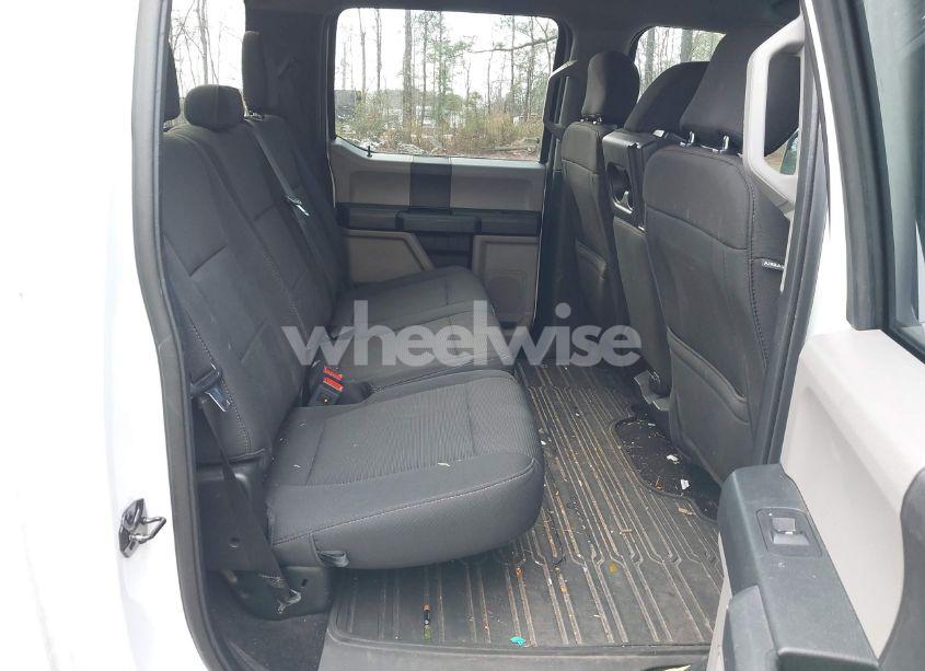 Photo 8 of 2019 Ford F-150 XL (VIN 1FTEW1CP5KKC01743)