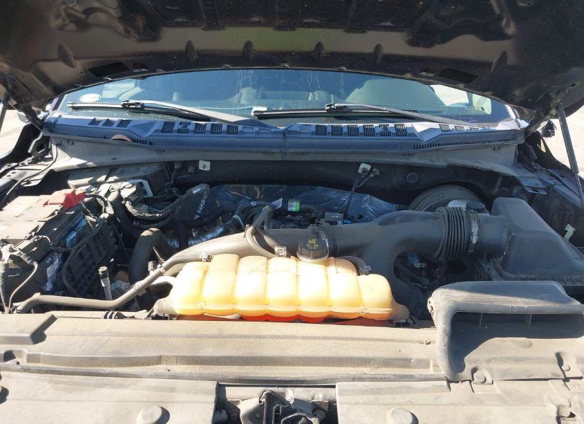 Photo 10 of 2019 Ford F-150 XL (VIN 1FTEW1CP5KKC34886)