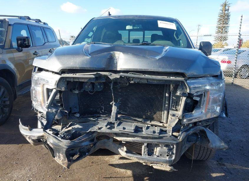 Photo 13 of 2019 Ford F-150 XLT (VIN 1FTEW1CP5KKD64439)