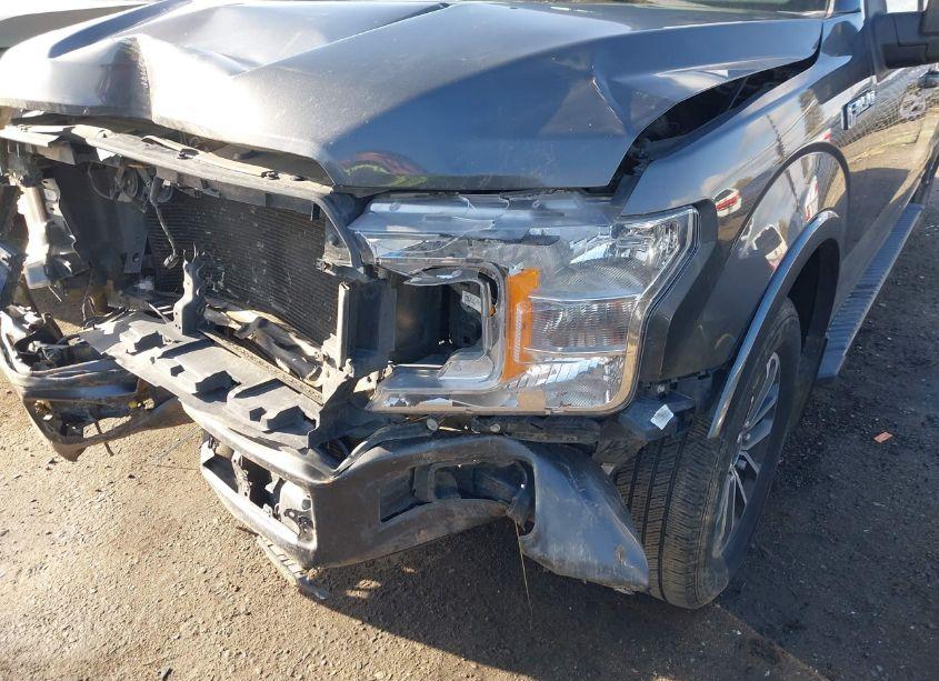 Photo 18 of 2019 Ford F-150 XLT (VIN 1FTEW1CP5KKD64439)