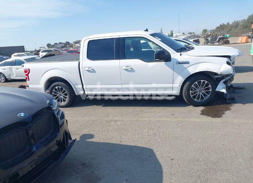 Photo 14 of 2019 Ford F150 SUPERCREW (VIN 1FTEW1CP5KKD97649)