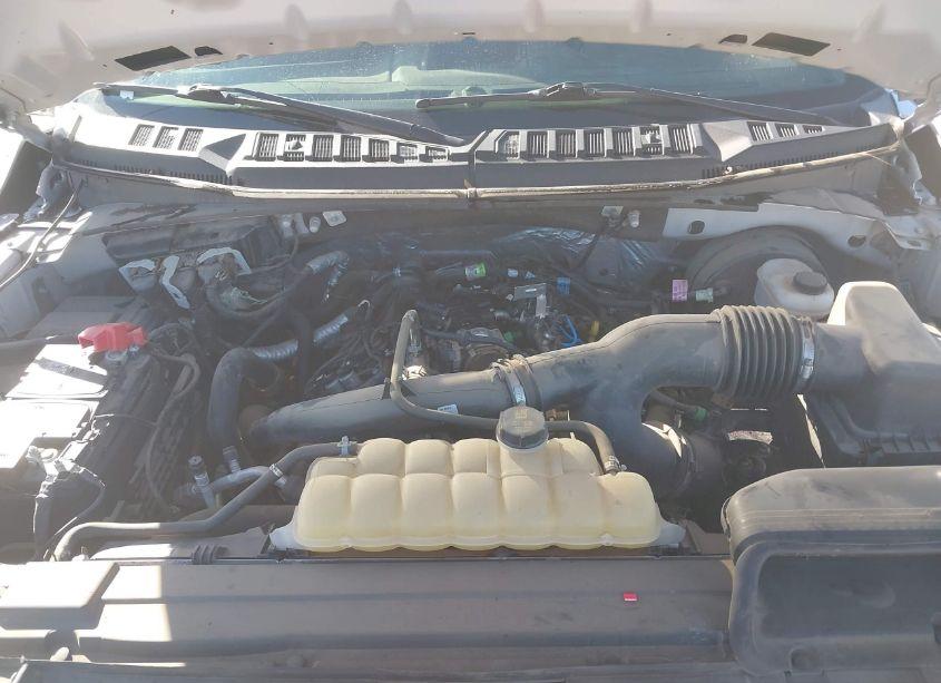 Photo 10 of 2020 Ford F-150 XL (VIN 1FTEW1CP5LKD31362)