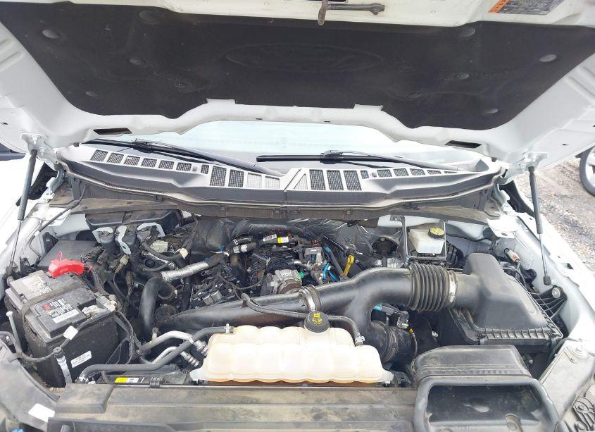 Photo 10 of 2021 Ford F-150 XLT (VIN 1FTEW1CP5MKF11734)