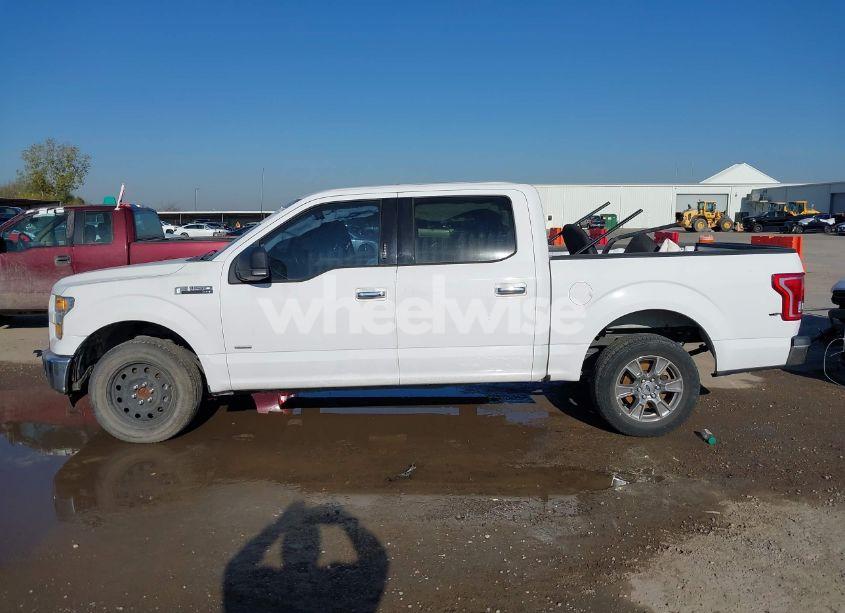 Photo 14 of 2015 Ford F-150 XLT (VIN 1FTEW1CP6FKE69819)