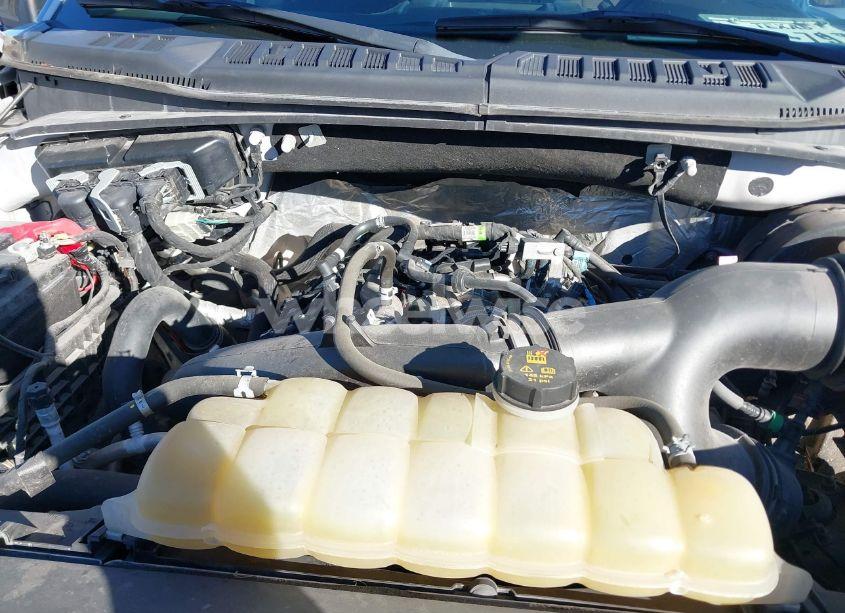 Photo 10 of 2019 Ford F-150 XL (VIN 1FTEW1CP6KFD42734)