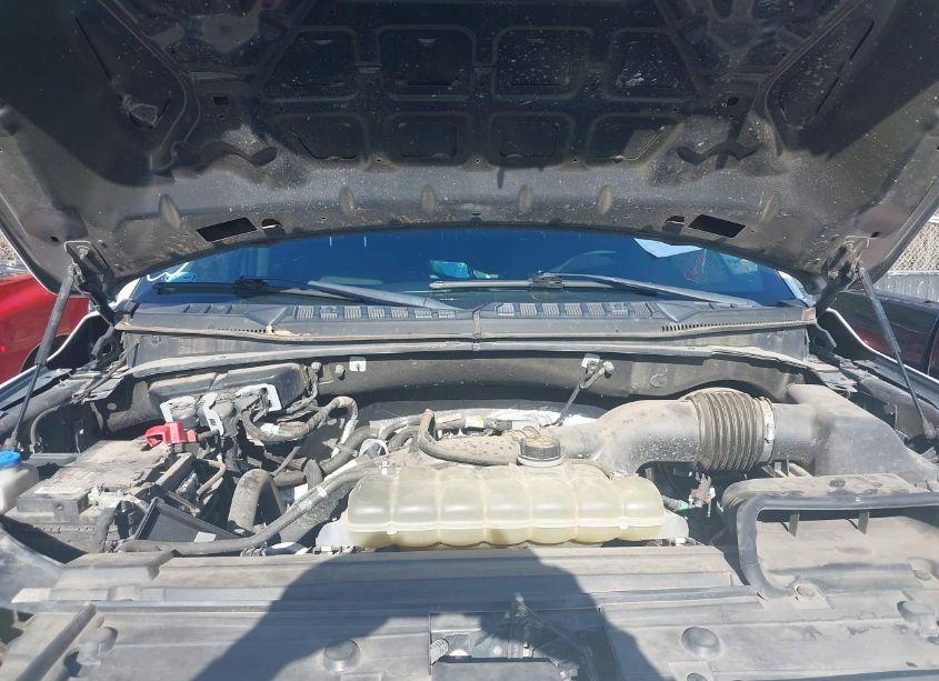 Photo 10 of 2019 Ford F-150 XL (VIN 1FTEW1CP6KKC58923)