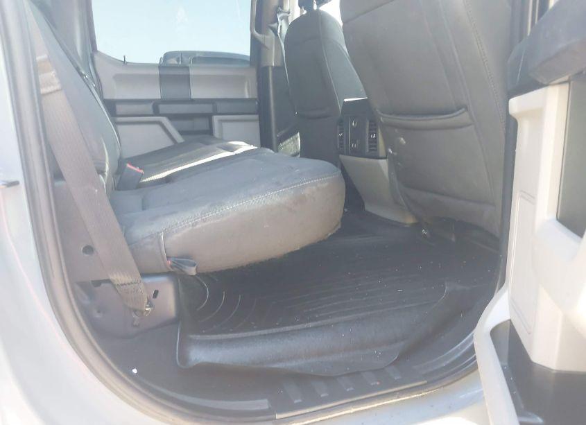 Photo 8 of 2019 Ford F-150 XL (VIN 1FTEW1CP6KKC58923)