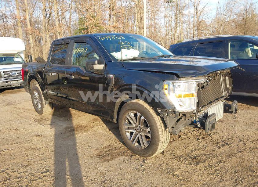 2021 Ford F-150 XL (VIN 1FTEW1CP6MFC69867) main photo