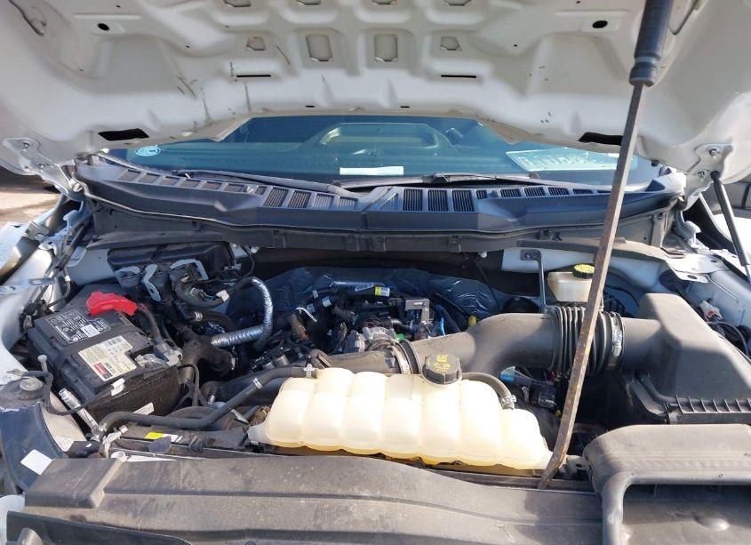 Photo 10 of 2021 Ford F-150 XL (VIN 1FTEW1CP6MKE97519)