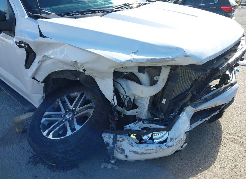 Photo 6 of 2021 Ford F-150 XL (VIN 1FTEW1CP6MKE97519)