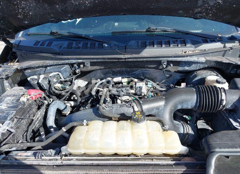 Photo 10 of 2020 Ford F-150 XLT (VIN 1FTEW1CP7LFB51177)