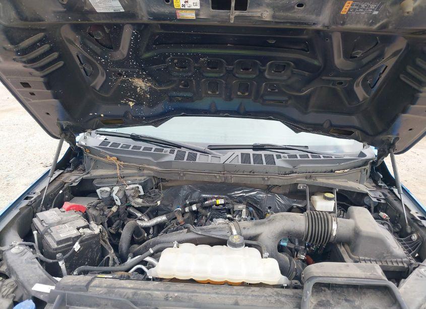 Photo 10 of 2021 Ford F-150 XL (VIN 1FTEW1CP7MKE74623)