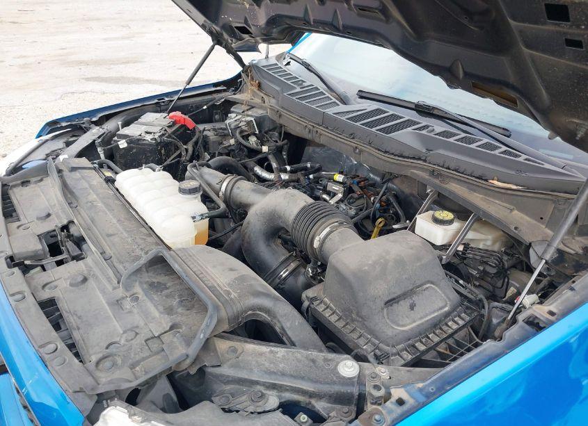 Photo 19 of 2021 Ford F-150 XL (VIN 1FTEW1CP7MKE74623)