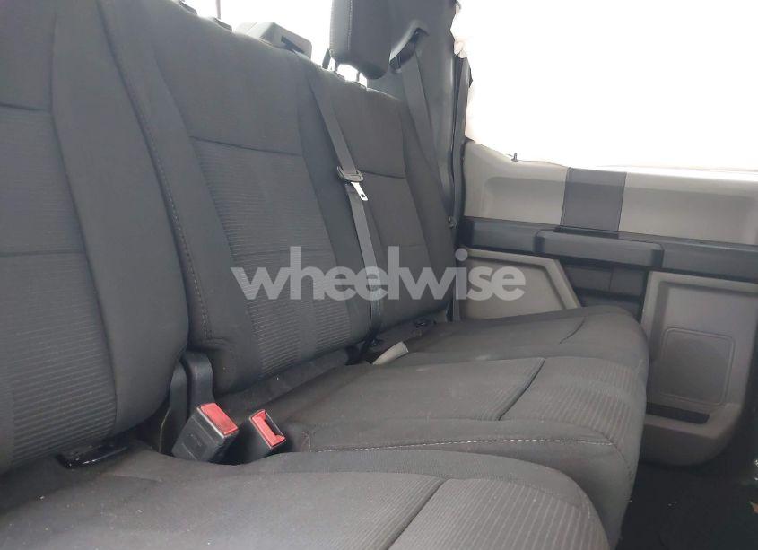 Photo 8 of 2019 Ford F-150 XL (VIN 1FTEW1CP8KFB58766)