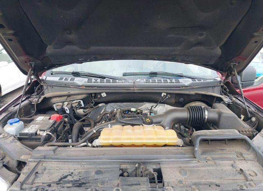 Photo 10 of 2019 Ford F-150 XLT (VIN 1FTEW1CP8KKD46906)