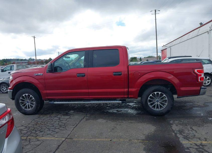 Photo 14 of 2019 Ford F-150 XLT (VIN 1FTEW1CP8KKD46906)