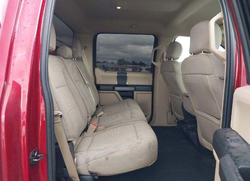 Photo 8 of 2019 Ford F-150 XLT (VIN 1FTEW1CP8KKD46906)