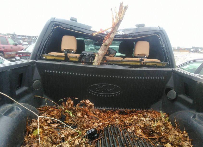 Photo 17 of 2022 Ford F-150 XLT (VIN 1FTEW1CP8NFA24246)