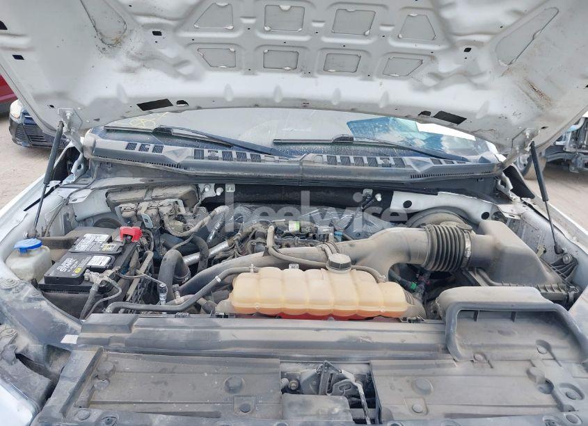 Photo 10 of 2019 Ford F-150 XL (VIN 1FTEW1CP9KKC10090)