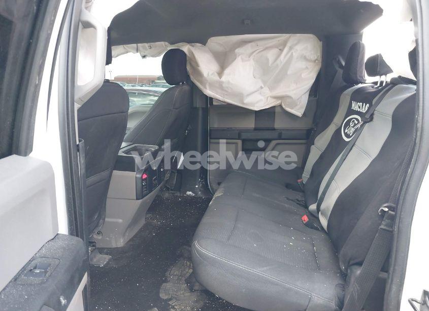 Photo 8 of 2019 Ford F-150 XL (VIN 1FTEW1CP9KKC10090)