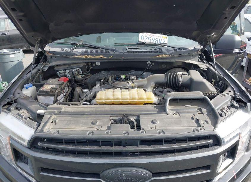 Photo 10 of 2019 Ford F-150 XLT (VIN 1FTEW1CP9KKD28429)