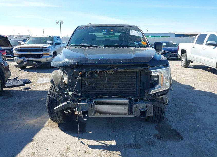 Photo 13 of 2019 Ford F-150 XL (VIN 1FTEW1CP9KKD69756)