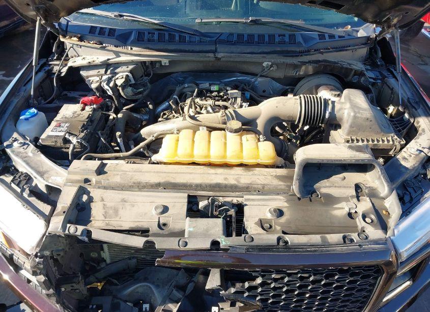 Photo 10 of 2019 Ford F-150 XL (VIN 1FTEW1CP9KKF26623)