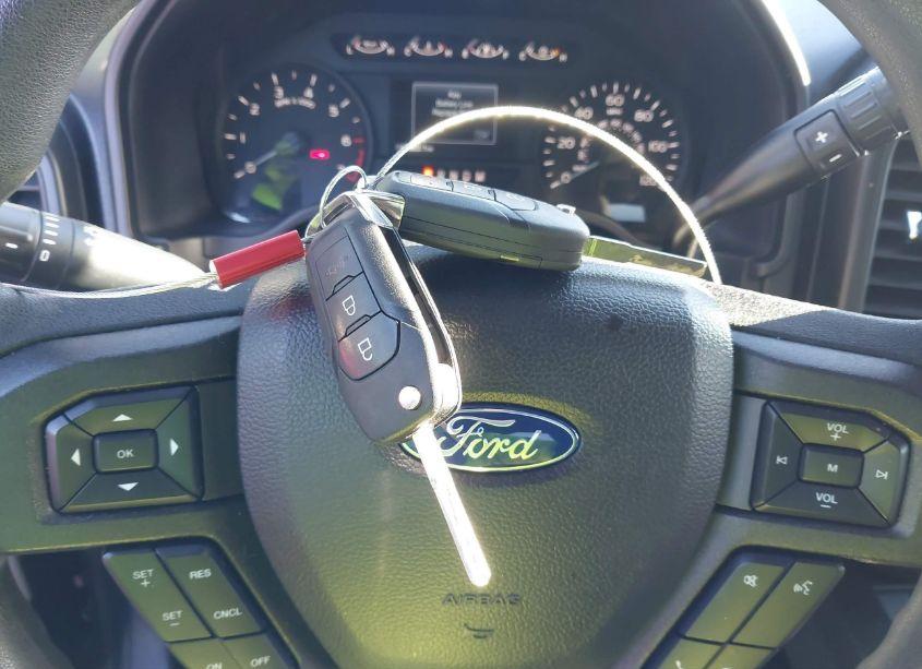 Photo 11 of 2019 Ford F-150 XL (VIN 1FTEW1CP9KKF26623)