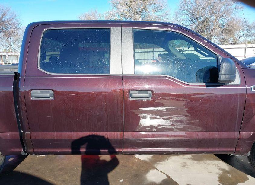 Photo 18 of 2019 Ford F-150 XL (VIN 1FTEW1CP9KKF26623)