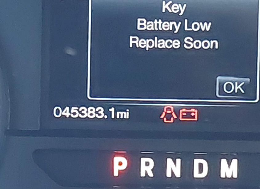 Photo 7 of 2019 Ford F-150 XL (VIN 1FTEW1CP9KKF26623)