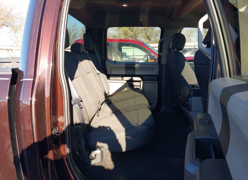 Photo 8 of 2019 Ford F-150 XL (VIN 1FTEW1CP9KKF26623)