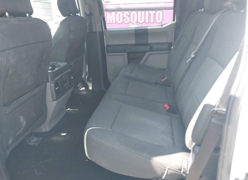 Photo 8 of 2020 Ford F-150 XL (VIN 1FTEW1CP9LFA37732)