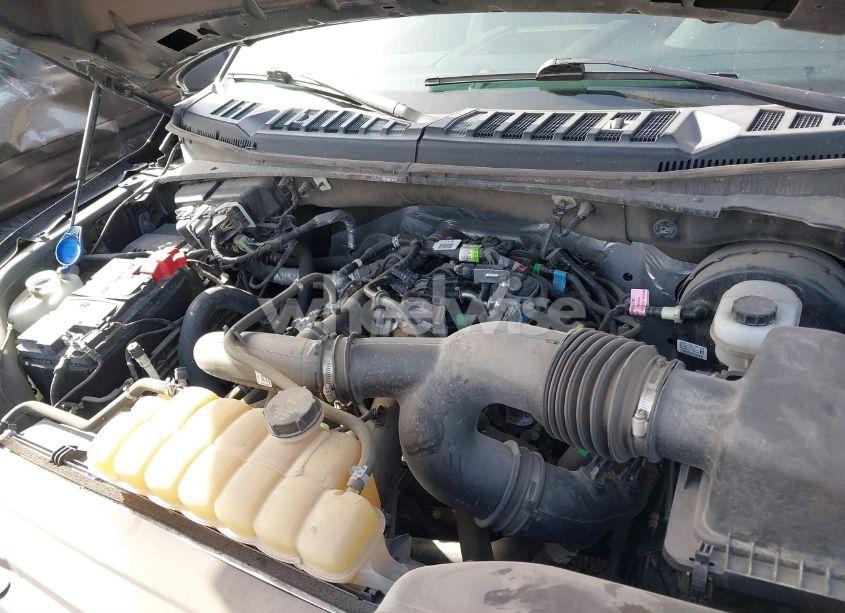 Photo 10 of 2020 Ford F-150 XL (VIN 1FTEW1CP9LKE86352)