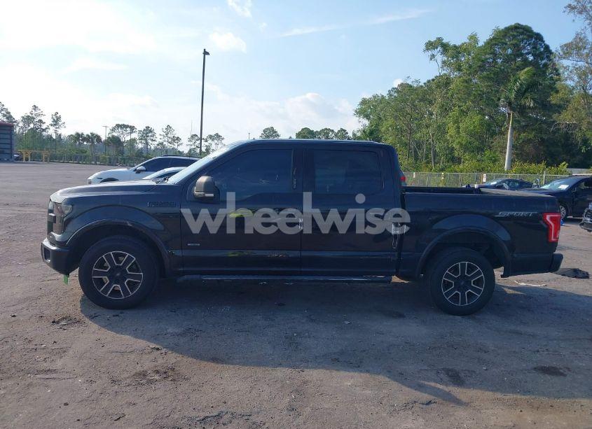 Photo 14 of 2015 Ford F-150 XLT (VIN 1FTEW1CPXFFB19876)