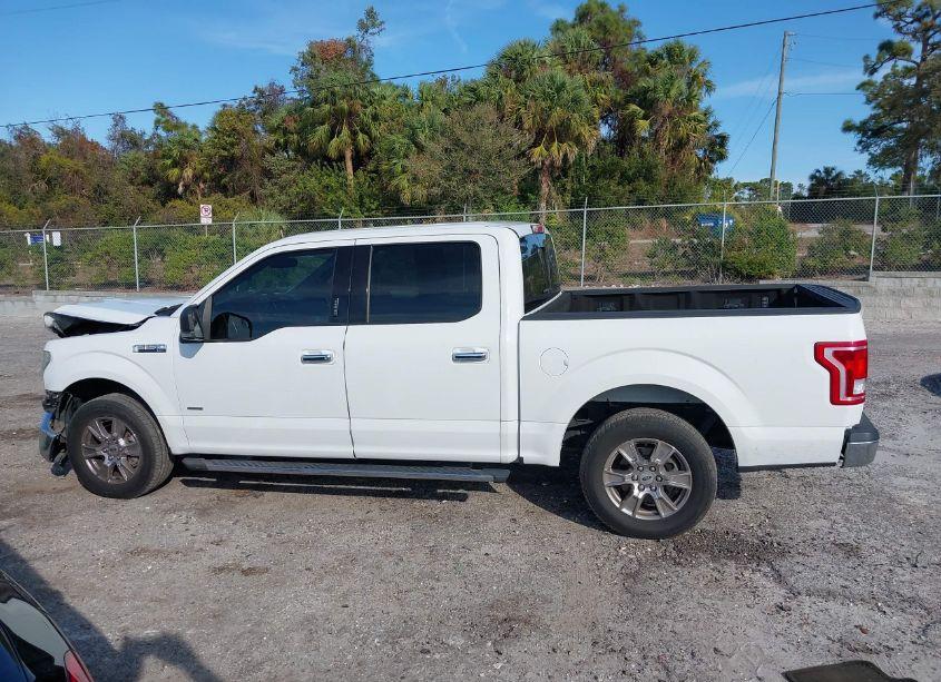 Photo 14 of 2015 Ford F-150 XLT (VIN 1FTEW1CPXFFD03117)