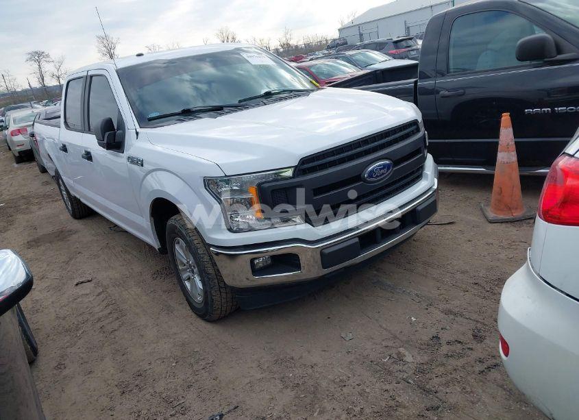 2019 Ford F-150 XL (VIN 1FTEW1CPXKKD80023) main photo