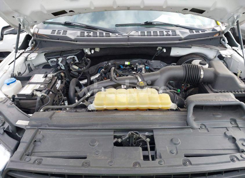 Photo 10 of 2019 Ford F-150 XL (VIN 1FTEW1CPXKKD80023)