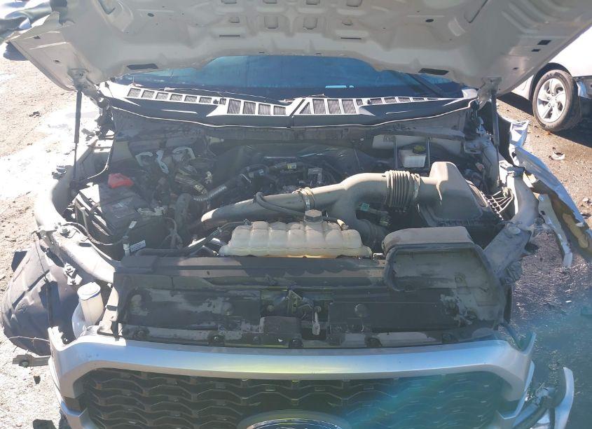 Photo 10 of 2021 Ford F-150 XL (VIN 1FTEW1CPXMKD39913)