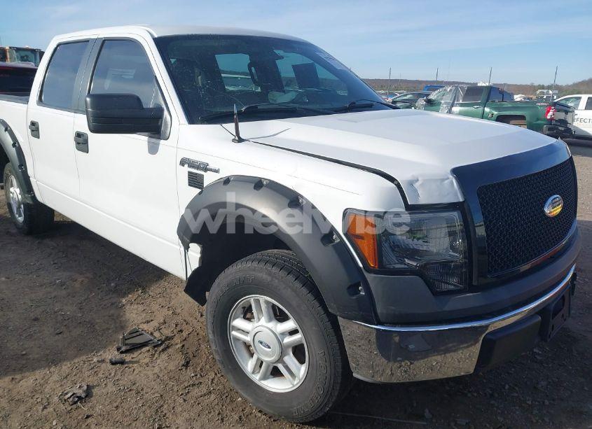 2010 Ford F-150 XL (VIN 1FTEW1CW2AFD88390) main photo