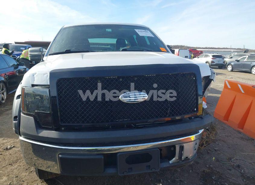 Photo 12 of 2010 Ford F-150 XL (VIN 1FTEW1CW2AFD88390)