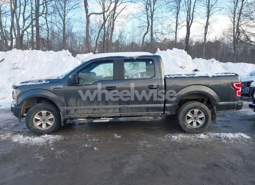 Photo 14 of 2019 Ford F-150 XL (VIN 1FTEW1E40KFD16066)
