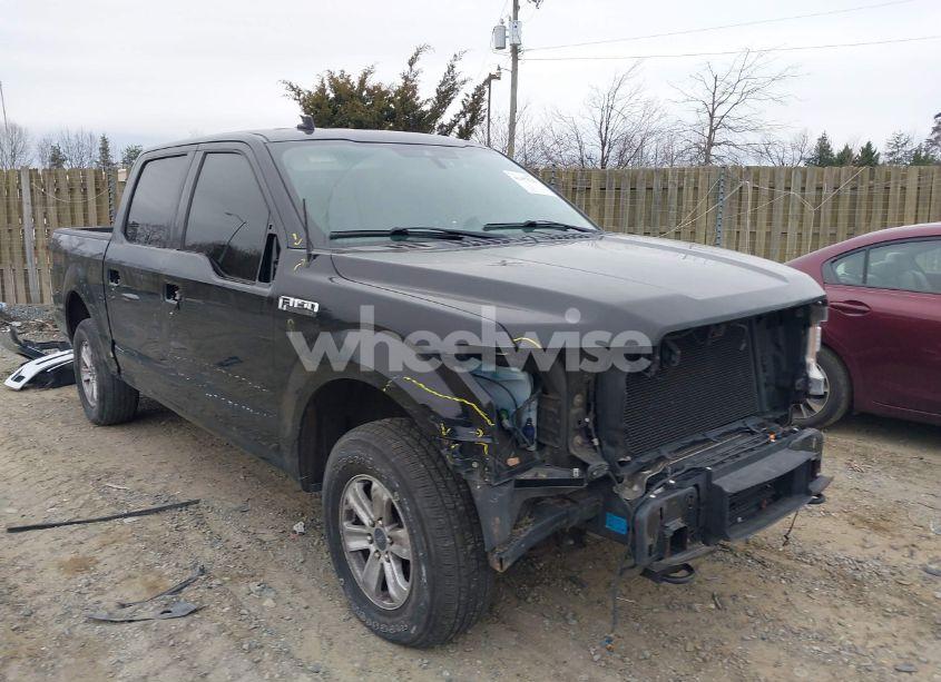 2019 Ford F-150 XLT (VIN 1FTEW1E41KFA82293) main photo