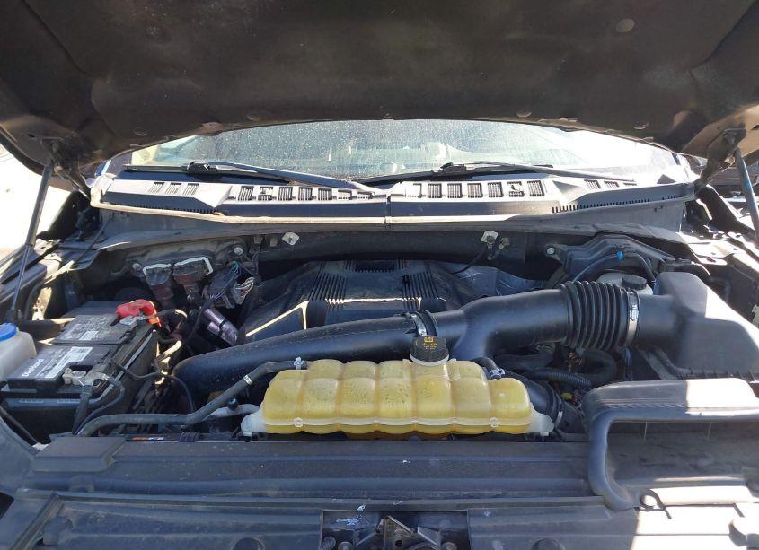 Photo 10 of 2019 Ford F-150 XLT (VIN 1FTEW1E41KFD35130)